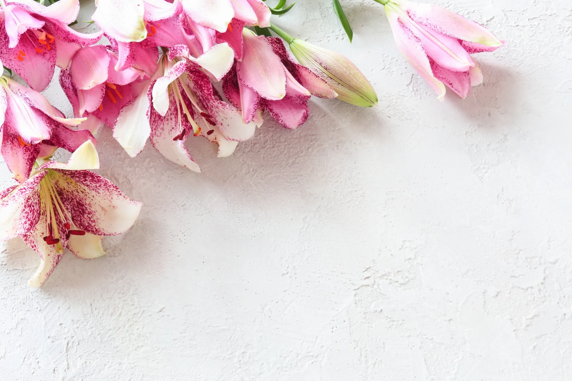 blog7